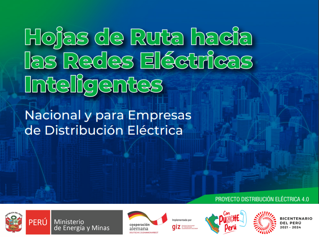 Hojas De Ruta Hacia Las Redes El Ctricas Inteligentes Smart Grids